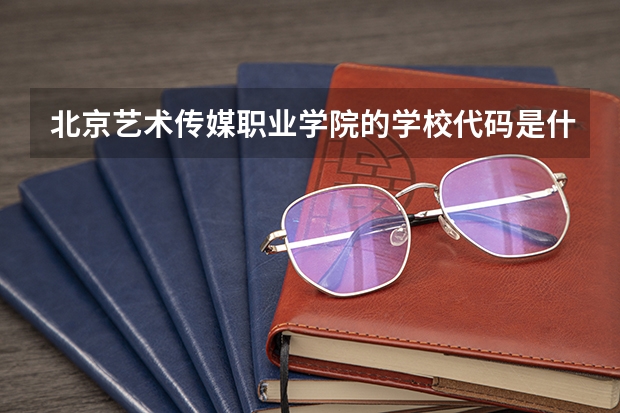 北京艺术传媒职业学院的学校代码是什么