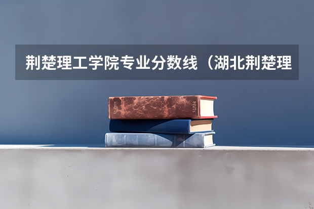 荆楚理工学院专业分数线（湖北荆楚理工学院录取分数线）