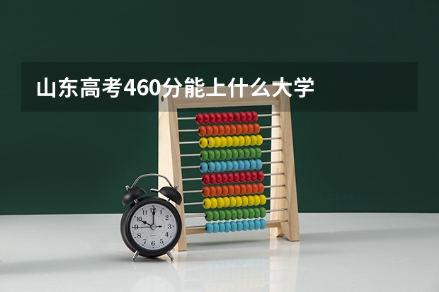 山东高考460分能上什么大学