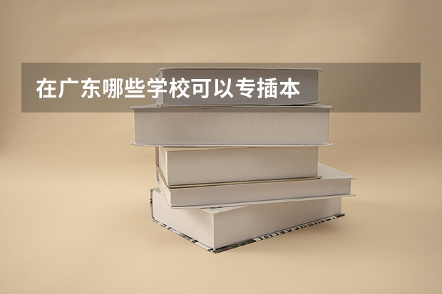 在广东哪些学校可以专插本