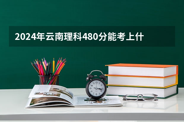 2024年云南理科480分能考上什么大学?