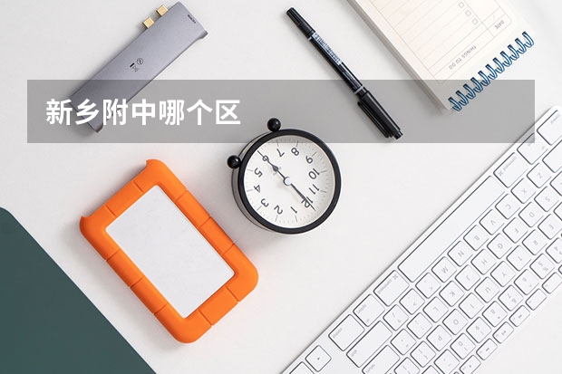 新乡附中哪个区