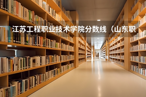 江苏工程职业技术学院分数线（山东职业学院录取分数线）