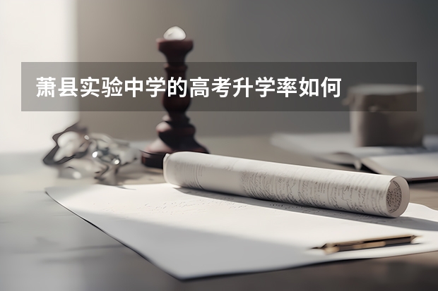 萧县实验中学的高考升学率如何