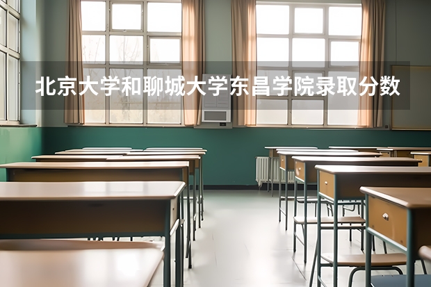 北京大学和聊城大学东昌学院录取分数对比