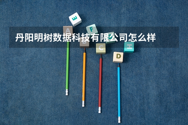 丹阳明树数据科技有限公司怎么样