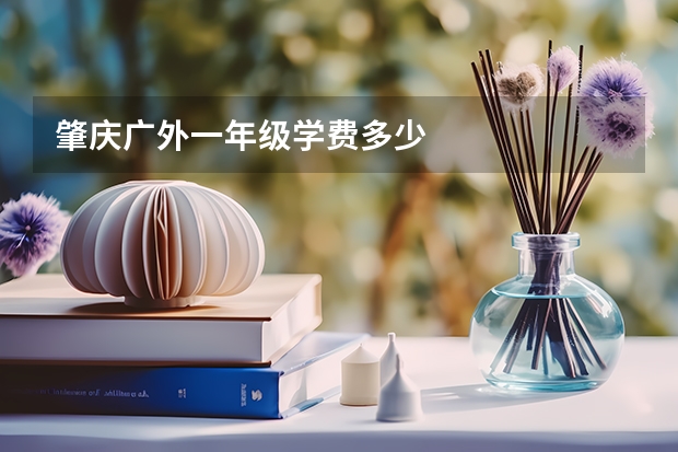 肇庆广外一年级学费多少