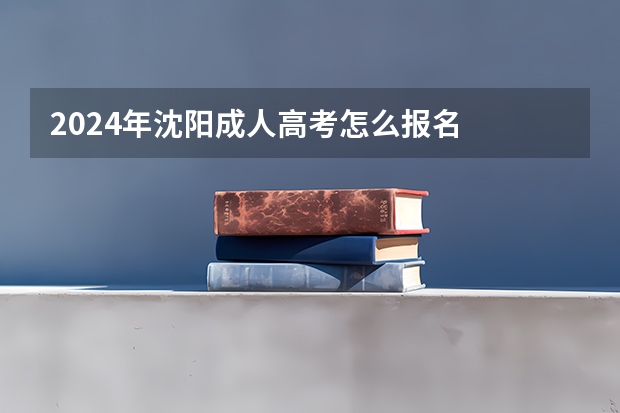 2024年沈阳成人高考怎么报名