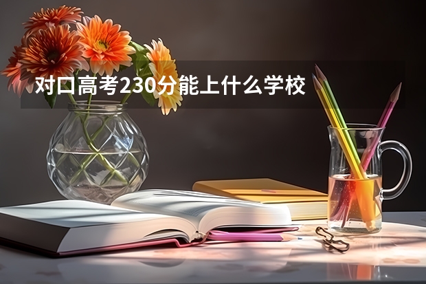 对口高考230分能上什么学校