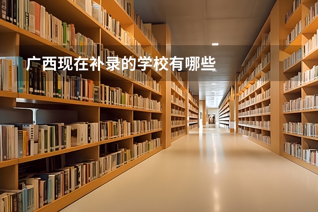 广西现在补录的学校有哪些