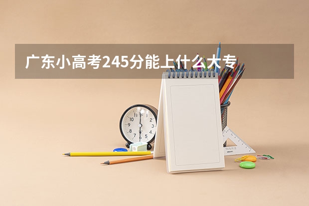 广东小高考245分能上什么大专