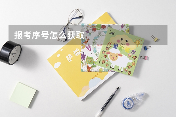 报考序号怎么获取