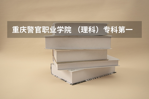 重庆警官职业学院 （理科）专科第一批录取分数线（重庆文化艺术学院录取分数线）