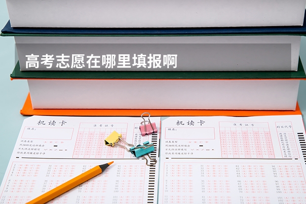 高考志愿在哪里填报啊