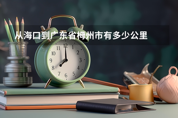 从海口到广东省栂州市有多少公里