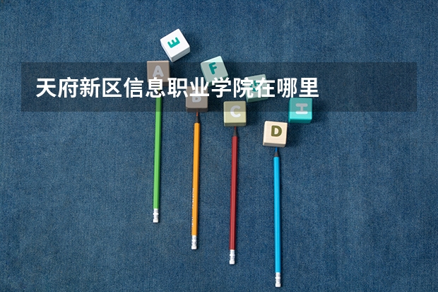 天府新区信息职业学院在哪里