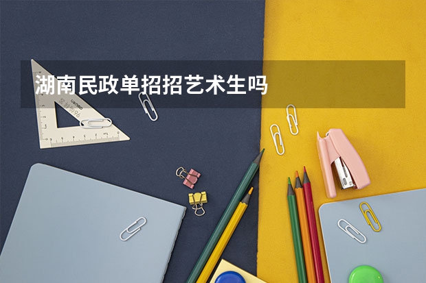 湖南民政单招招艺术生吗