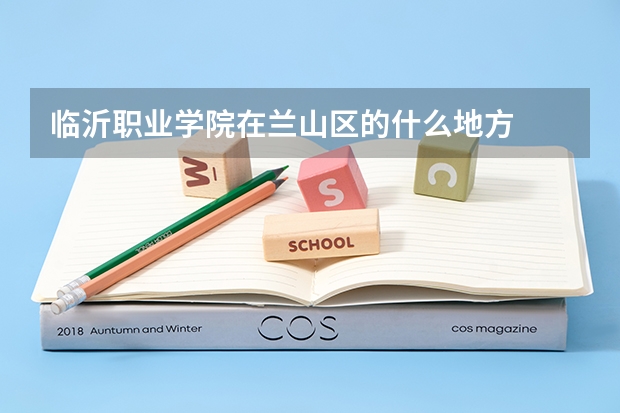 临沂职业学院在兰山区的什么地方
