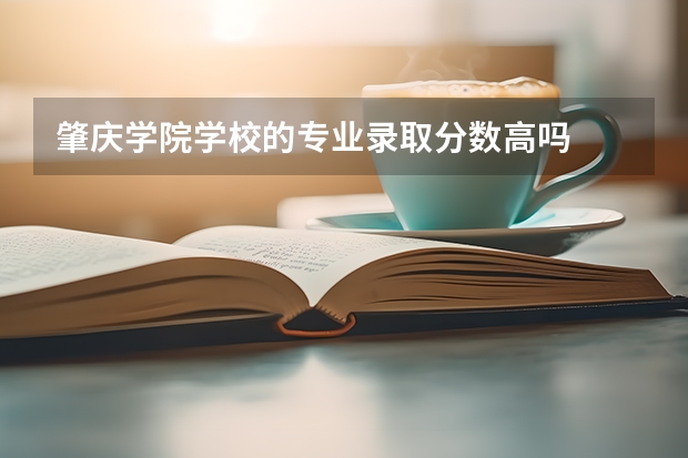 肇庆学院学校的专业录取分数高吗