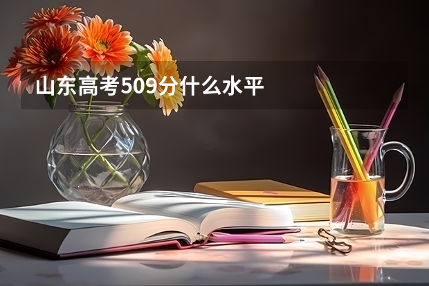 山东高考509分什么水平