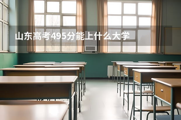 山东高考495分能上什么大学