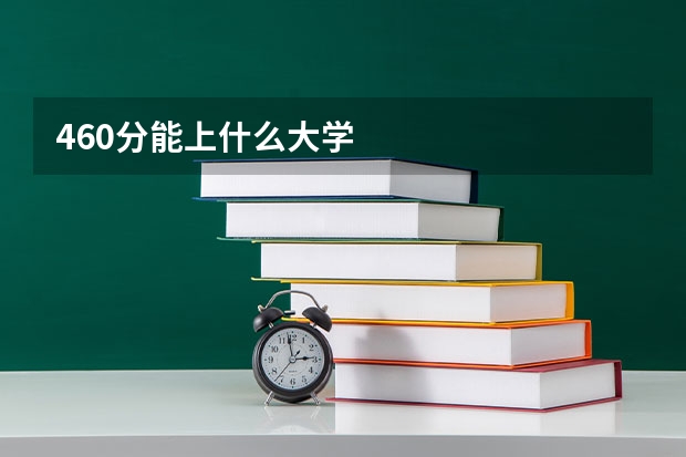 460分能上什么大学
