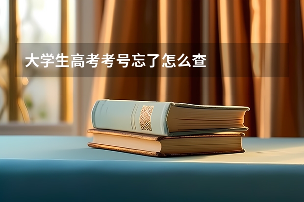 大学生高考考号忘了怎么查