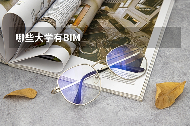 哪些大学有BIM