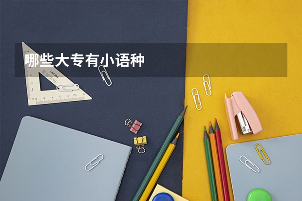 哪些大专有小语种