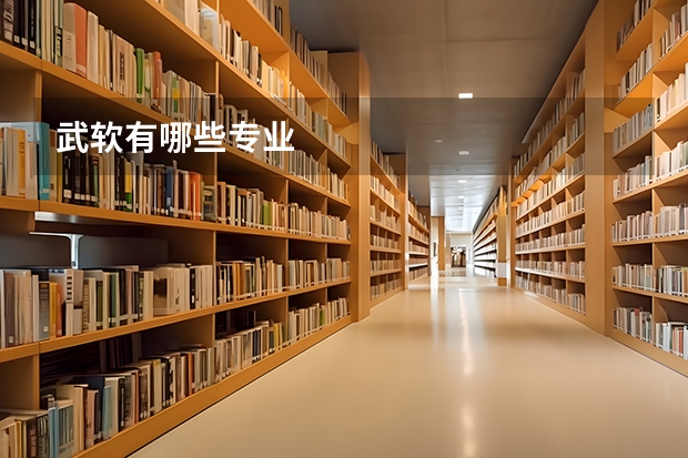武软有哪些专业
