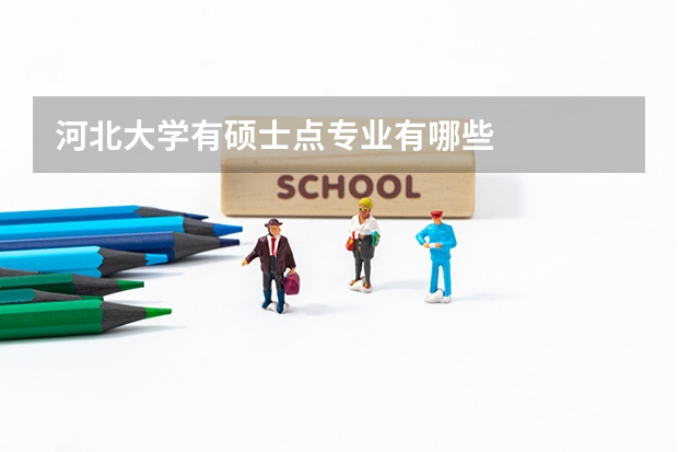河北大学有硕士点专业有哪些