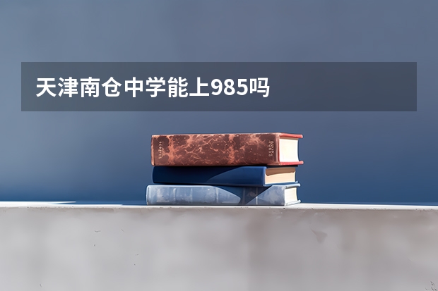 天津南仓中学能上985吗